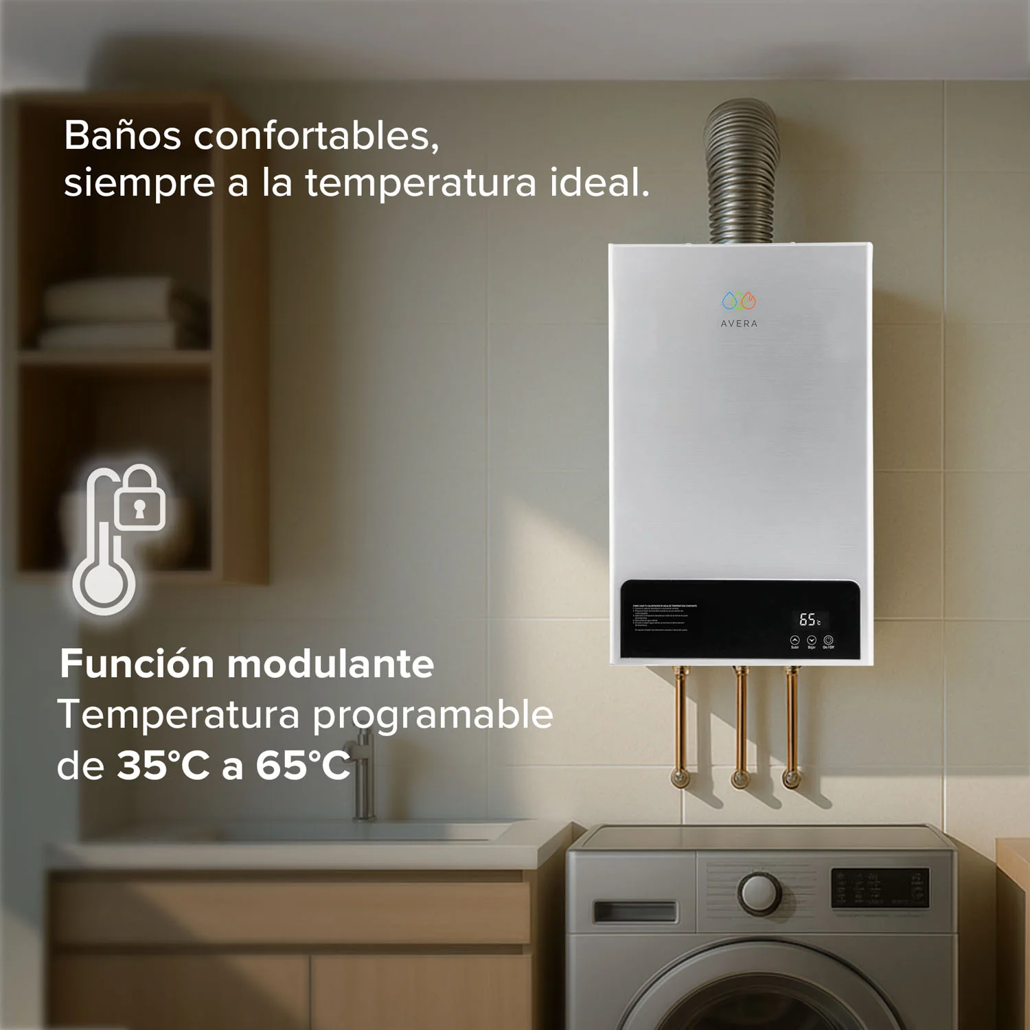 Imagen del producto 5