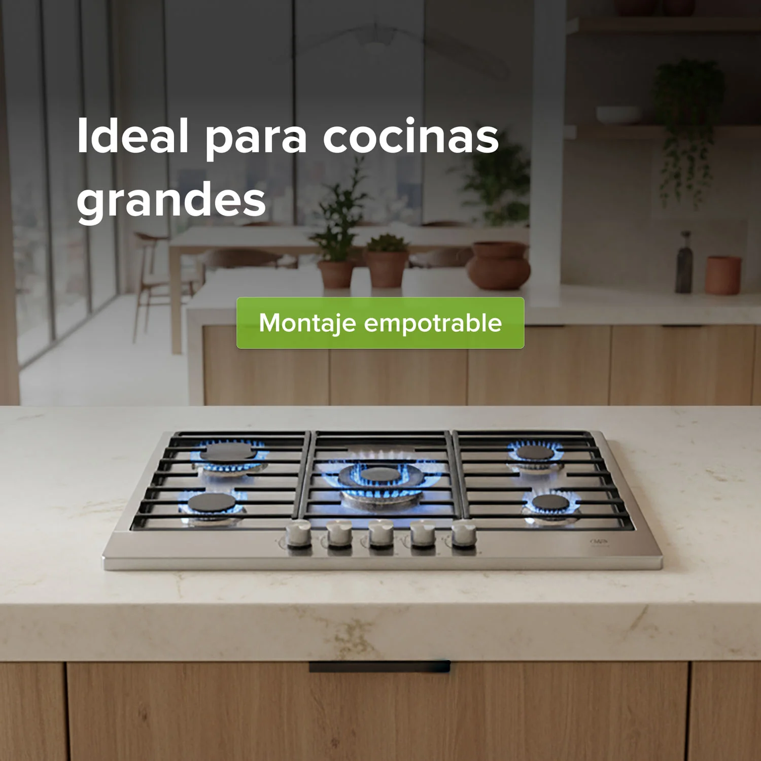 Imagen del producto 8