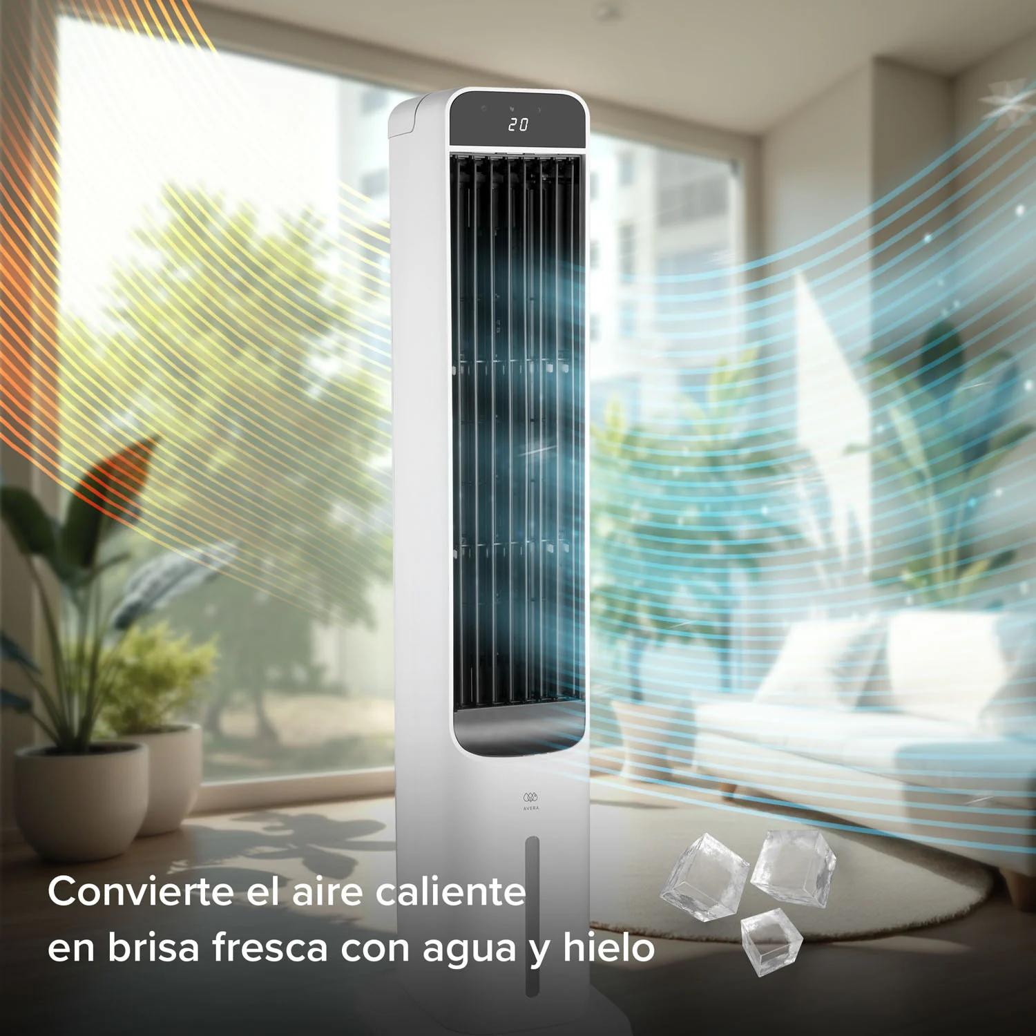 Imagen del producto 8